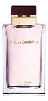 d&g parfum